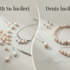 Tatlı Su İncileri Nedir? Deniz İncilerinden Farkları Neler?