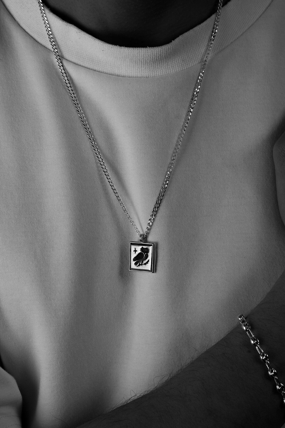 925 Sterling Silver Coin Wise Bird Gourmet Necklace