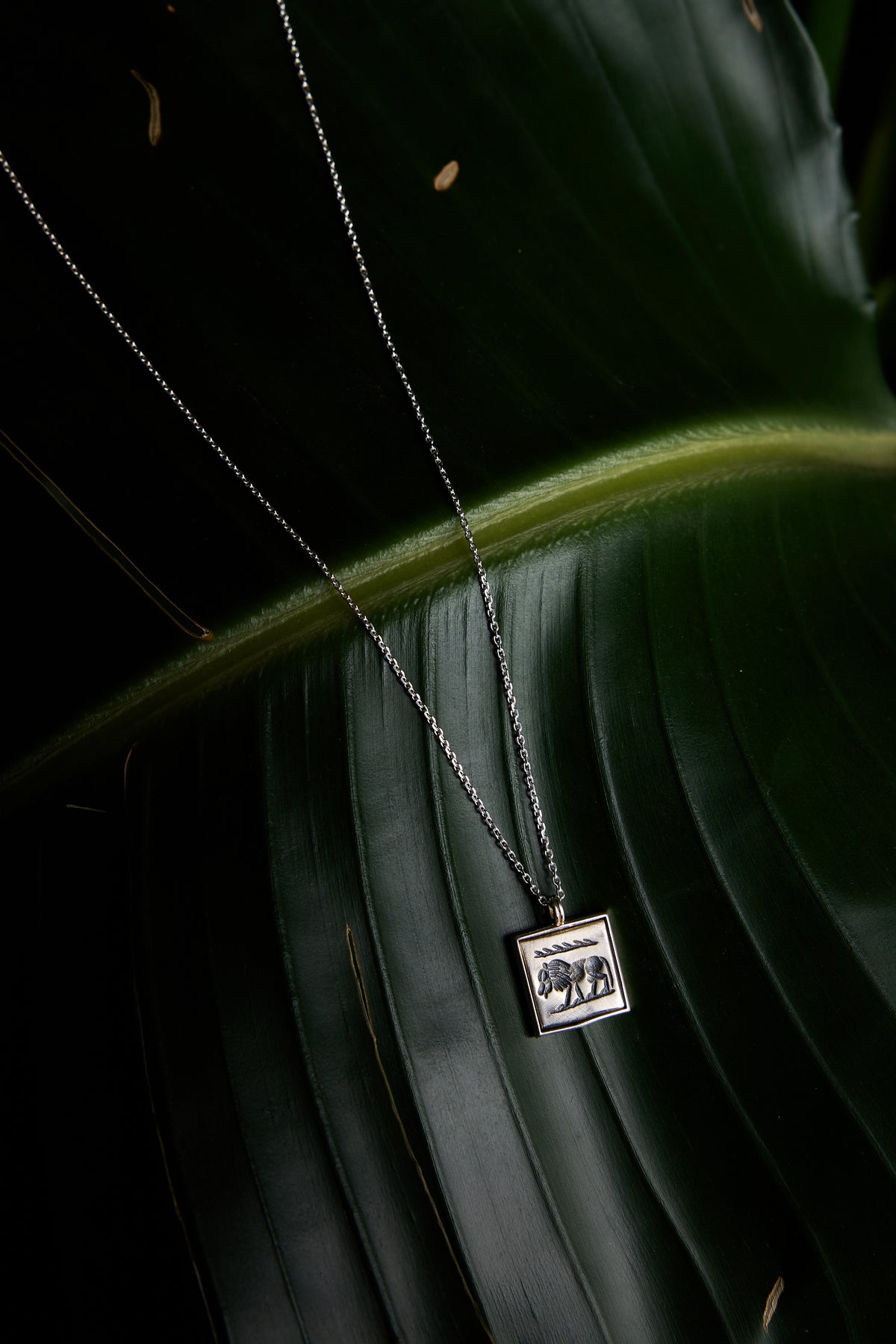 925 Sterling Silver Lion Forse Necklace